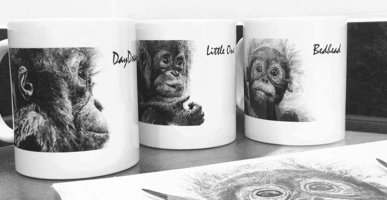 Set of Three Orangutan Mugs